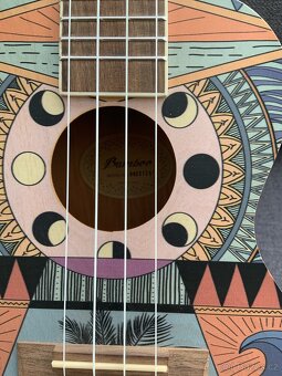 Bamboo Eclipse 23 - 4