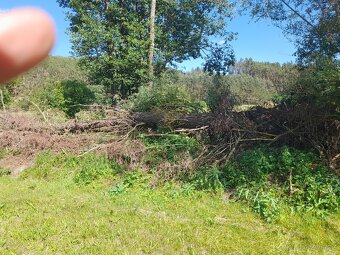 Palivové dřevo - 4