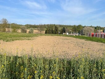 Prodej stavebního pozemku 909 m² Domašov u Šternberka - 4