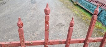 Brána s brankou a železný plot - 4