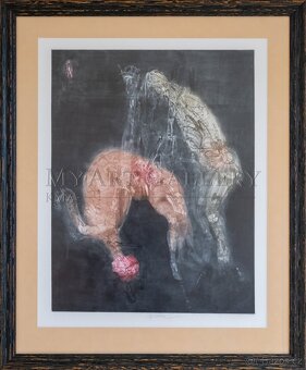 Jiří Anderle - 4
