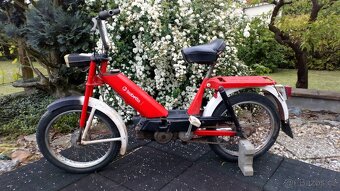 Babetta 207 - 4