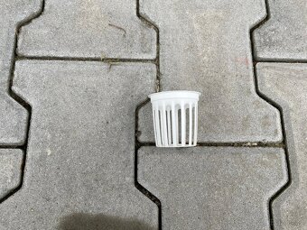 Hydroponické/pěstební košíčky bílé 5x5 cm použité - 4