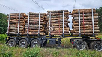 Palivové dřevo-kamion - 4