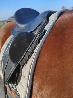 Bezkostrové zánovní sedlo - 4