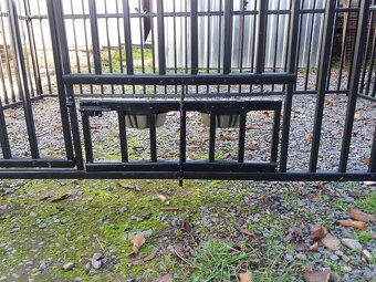 Kotec pro psa 3 x 2 m - 4