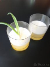 ALOE VERA - „domácí lékárnička“ - 4