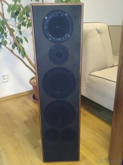 Krásné masivní dřevěnné sloupové reproduktory 320 W - 4