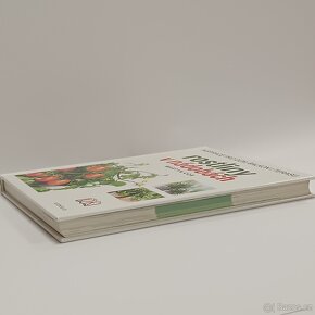 Rostliny v nádobách - 4