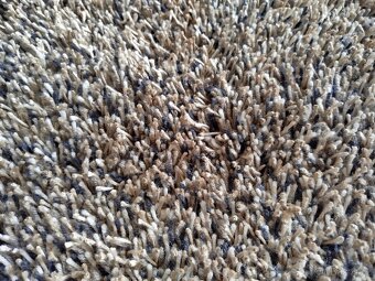 Koberec Natuzzi 170x240 - 4