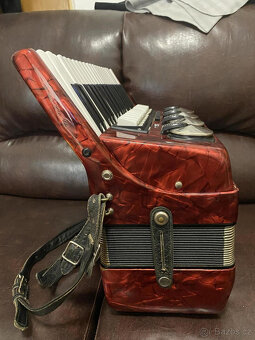 Delicia Carmen IV - 4