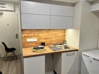 Pronájem bytu 1+kk 30 m² - 4