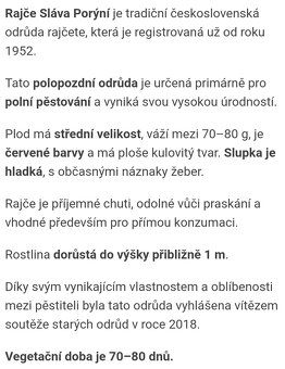 Prodám sazenice rajčat Sláva Porýní - 4