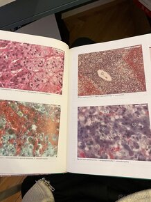 Histologický Atlas (Martínek, Vacek; 2009 Grada) - 4