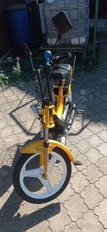 Manet Korado - 4