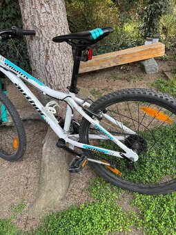 Author a-matrix vel.24 - 4