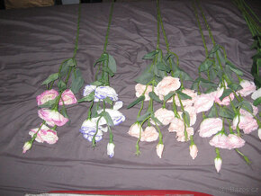 KYTICE 13-TI KS EUSTOMA V RUZNYCH BARVACH - NOVE - 4