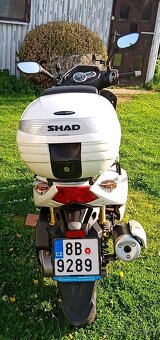 Benelli ZenZero 350i - 4