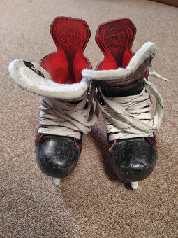 Brusle Bauer Vapor X 2.7 Y11 EE - 4