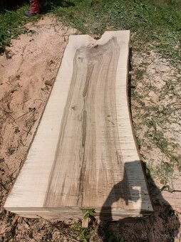 Stolařské fošny Jasan, Jilm - 4