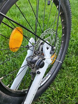 Koloběžka Kickbike na Canicross - 4