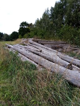 Palivové dřevo - 4