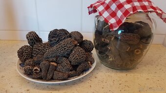 Sušené houby - smrž/smrže/Morel Mushrooms z Kanady - 4