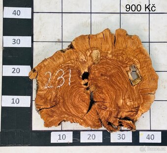 Olivové koláče 30mm, vysušené - 4