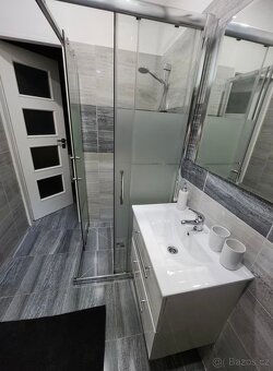 Pronájem 1+1 plně vybaven - 4