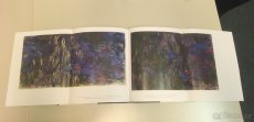 Monet in the 20th century - P. H. Tucker - 4