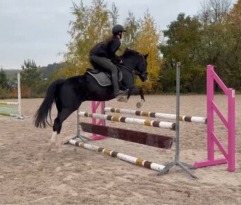 top pony do sportu - 4