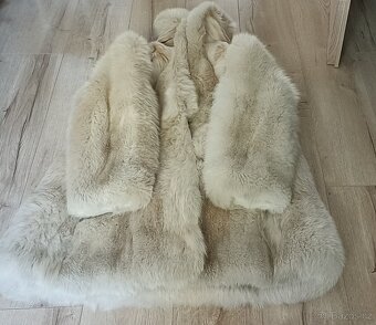 Kanadská přírodní bílá liška - 4