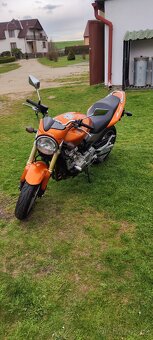 Honda Hornet 600 - 4