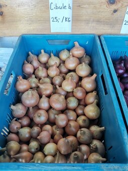 Česnek a Cibule z naší zahrady - 4