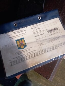 chladnokrvná kobyla na predaj - 4