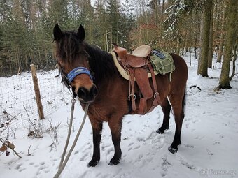 Vyjížďky na koni - 4