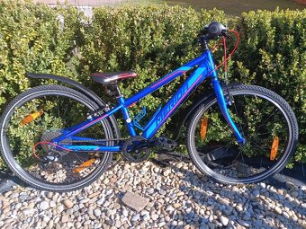 Dětské kolo Merida Matts, velikost 24" - 4