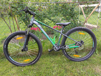 Kolo Kellys Spider 10 - 4