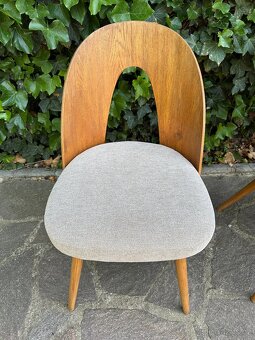 Designové židle A. ŠUMAN - BRUSEL - nové čalounění - 4