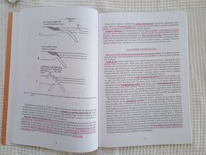 Historická geologie - Kalvoda, Bábek, Brzobohatý - 4
