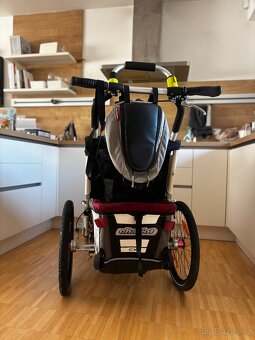 Thule Chariot cx1 - 4