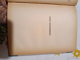 F. Bret Harte: Apoštol z baziny - 4