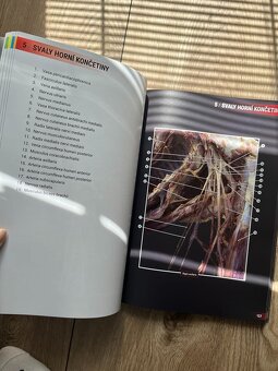 Atlas vybraných kapitol anatomie člověka - 4