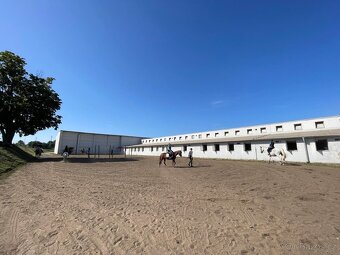 Jezdecký areál Eden – ustájení koní - 4