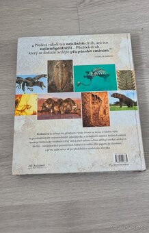 Prehistorie - obrazový průvodce vývojem života na zemi - 4