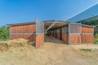 Ustájení koní – Telce u Peruce - 4