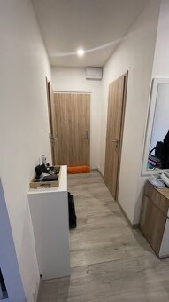 Pronájem bytu 2+1, 64 m2, Střekov, Ústí nad Labem - 4