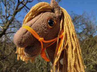 Hobby horse - 4