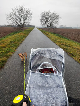 Kombinovaný kočárek venicci shadow denim grey - 4