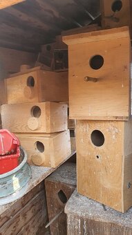 Budky pro papoušky - 4